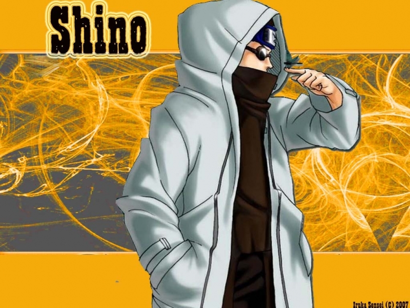 Shino Aburame - HD Wallpaper 