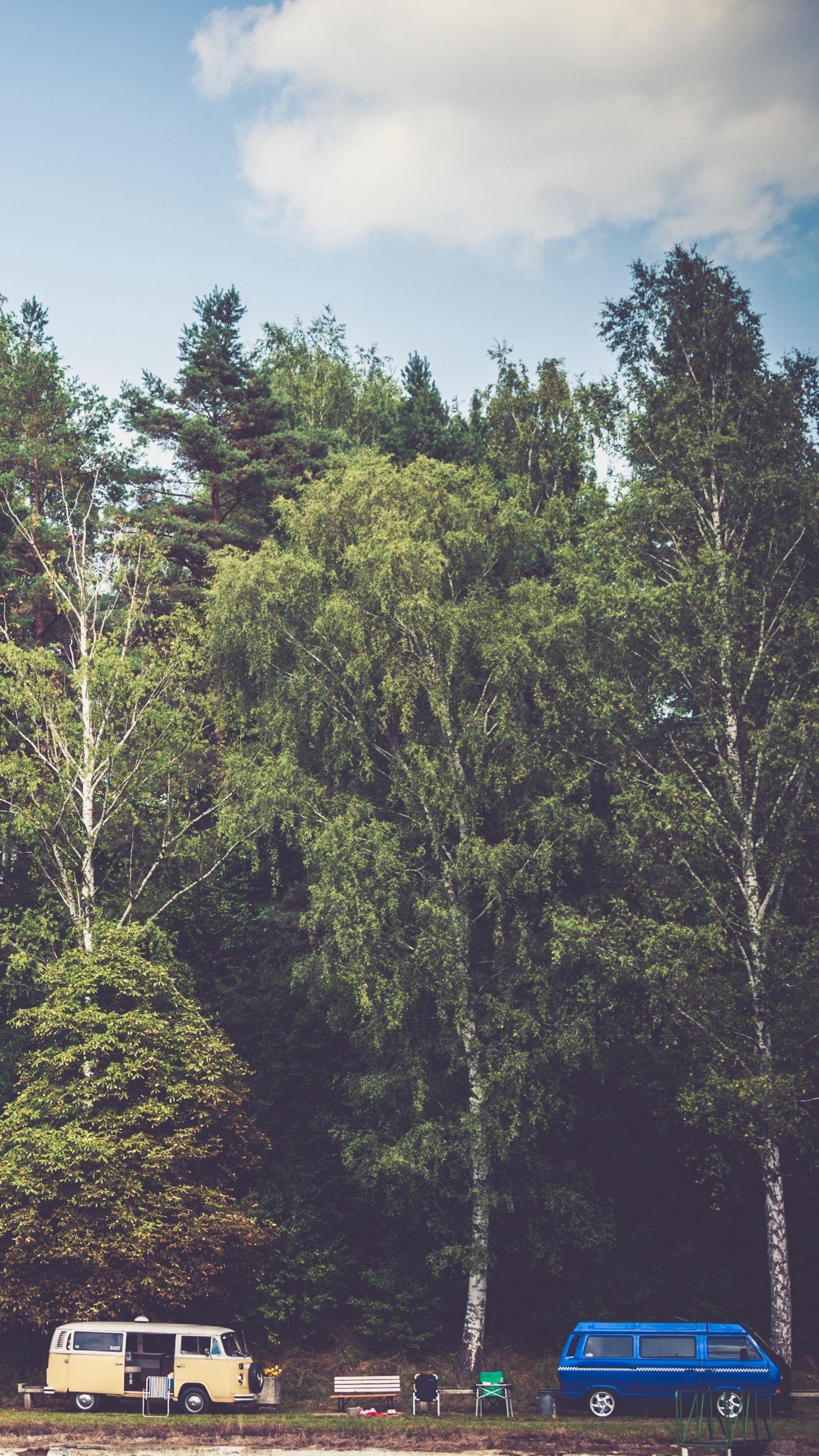 Wallpaper Trees, Forest, Vans, Camping - Junior J & Bright Sparks Do What You Do - HD Wallpaper 