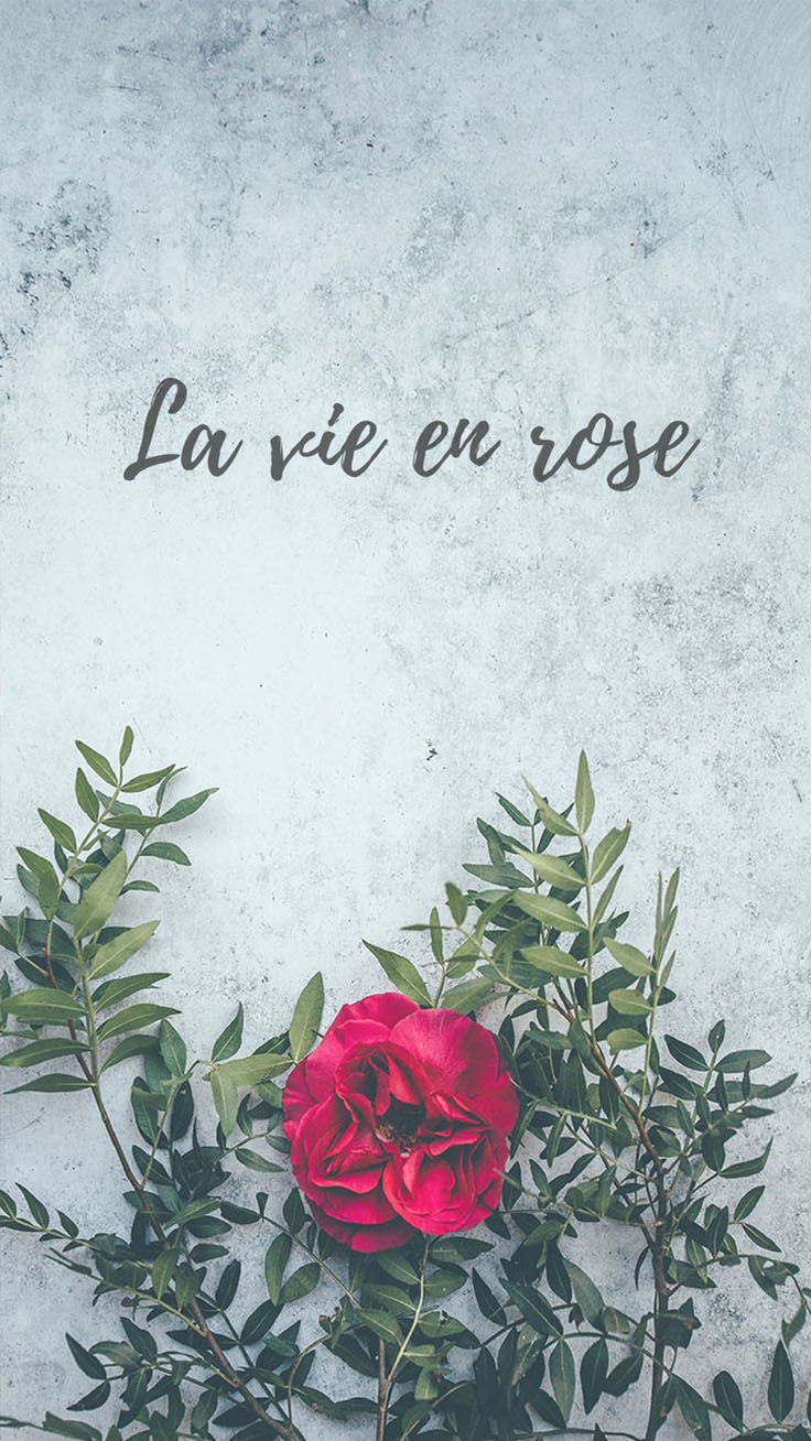 Floral Quotes Wallpaper Collection By Www - La Vie En Rose Iphone - HD Wallpaper 