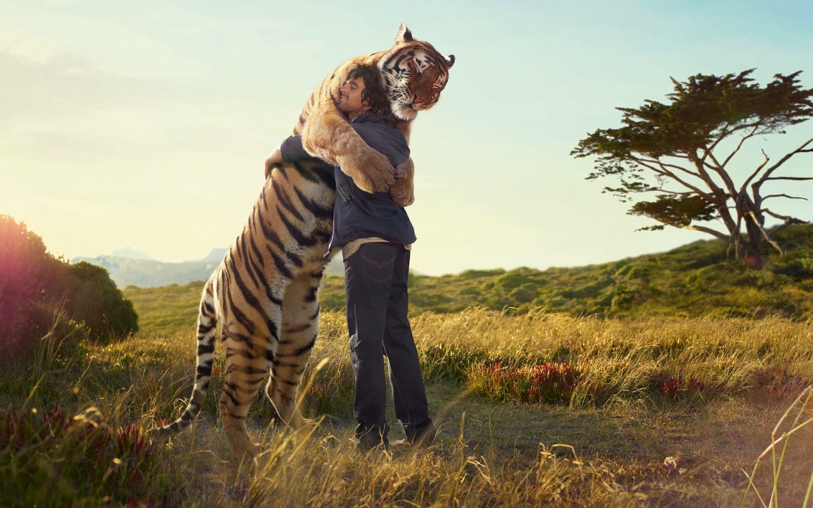 Hug Day Hd Background Wallpaper - Hd Wallpaper Animals - HD Wallpaper 