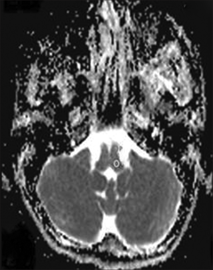 Radiology - HD Wallpaper 