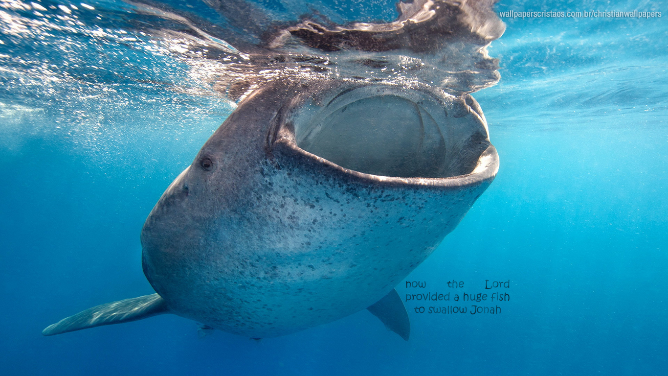 The Lord Provided Huge Fish To Swallow Jonah Whale - Icon Of Jonah In The Belly - HD Wallpaper 