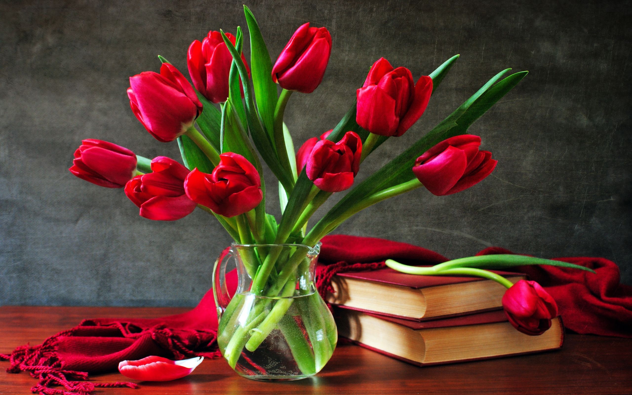 2560x1600, Red Tulip Flower - Rose Flower Images Hd - HD Wallpaper 