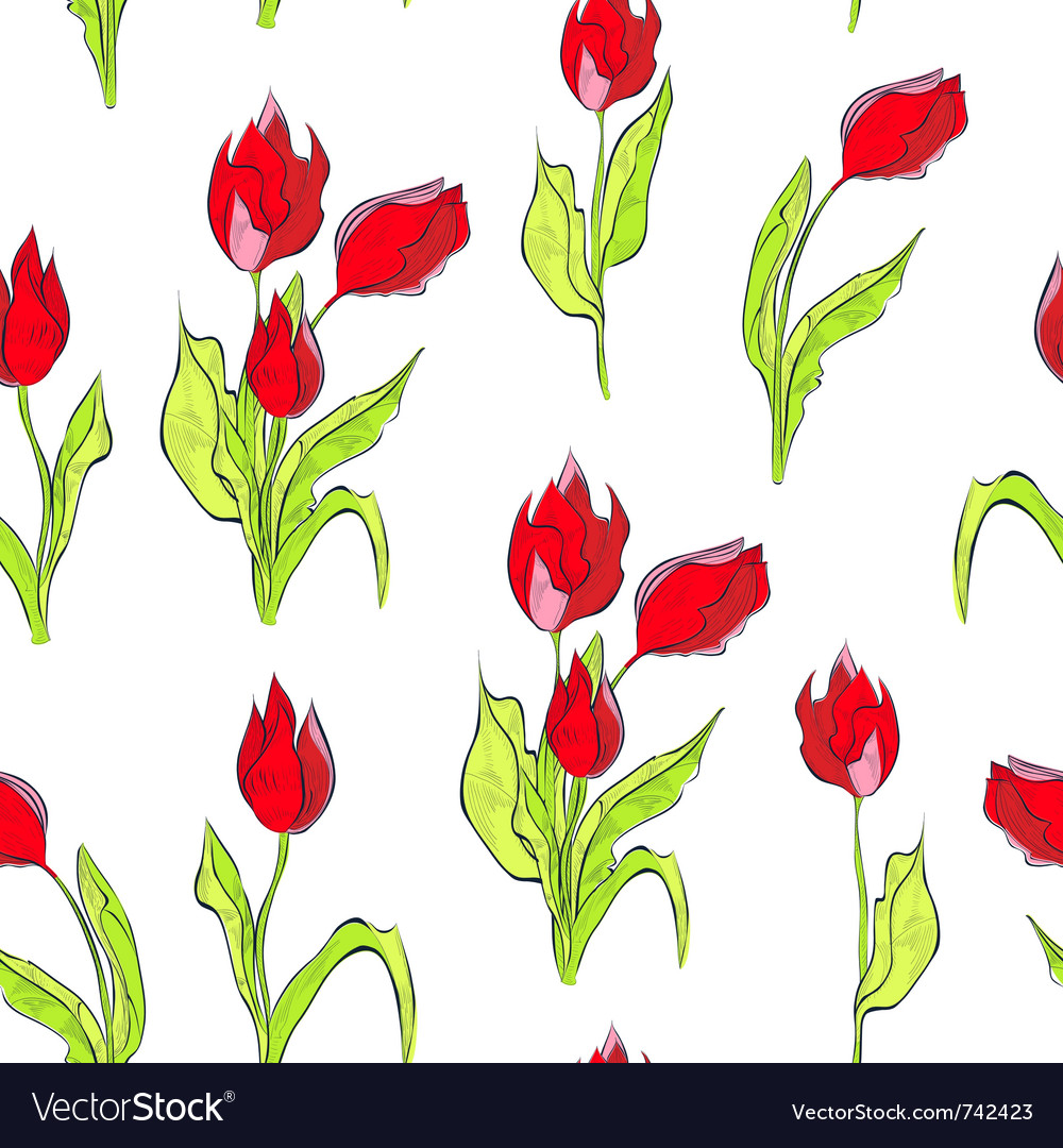 Garden Roses - HD Wallpaper 