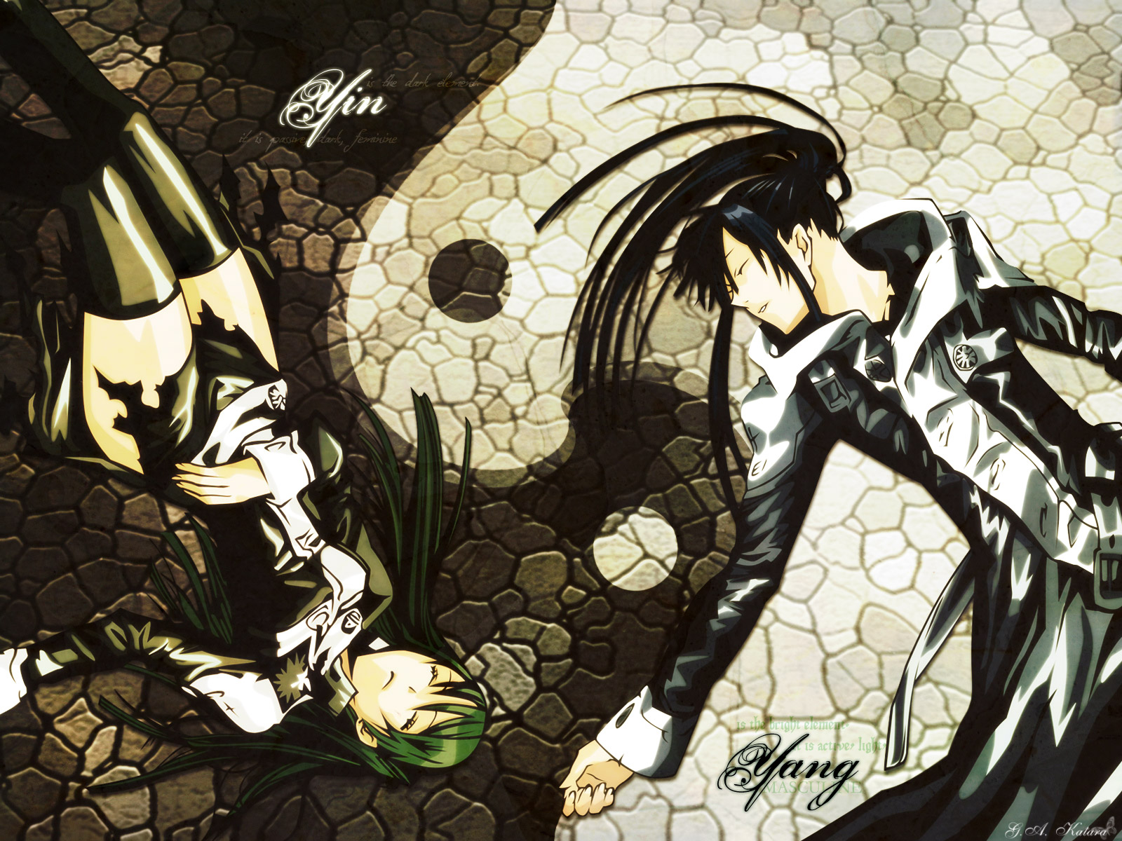 Katsura Hoshino Tms Entertainment D Gray Man Lenalee D Gray Man Kanda Wallpaper Hd 1600x10 Wallpaper Teahub Io