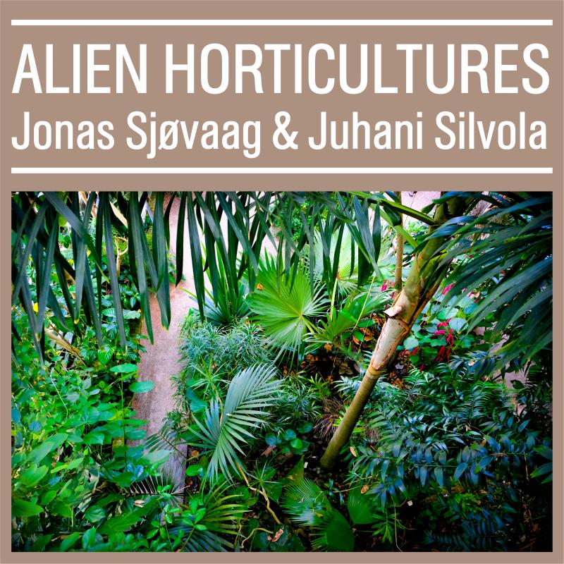 Juhani Silvola - HD Wallpaper 