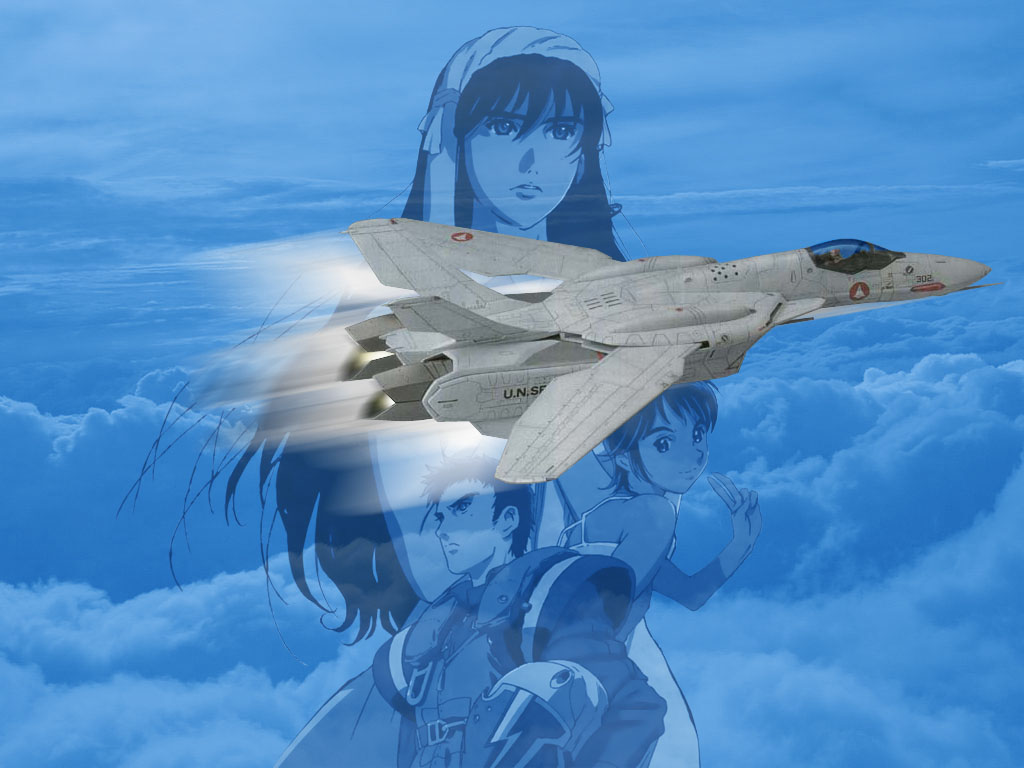 Grumman F-14 Tomcat - HD Wallpaper 