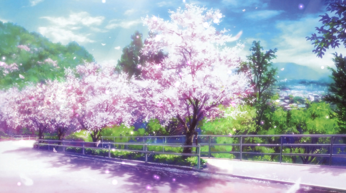 Cherry Blossom Screen Saver - HD Wallpaper 