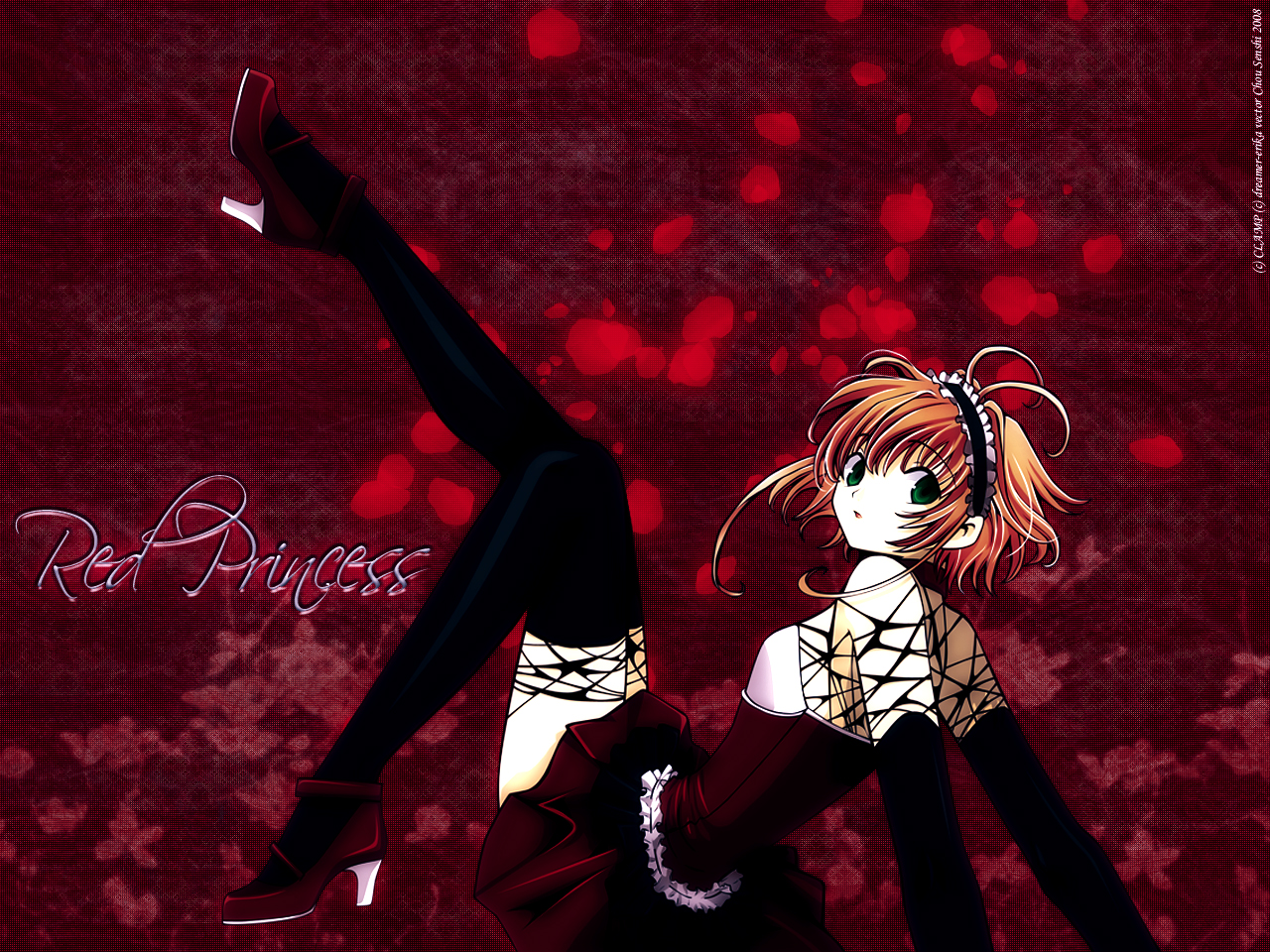 Sakura Tsubasa Wallpaper - Sakura Tsubasa - HD Wallpaper 