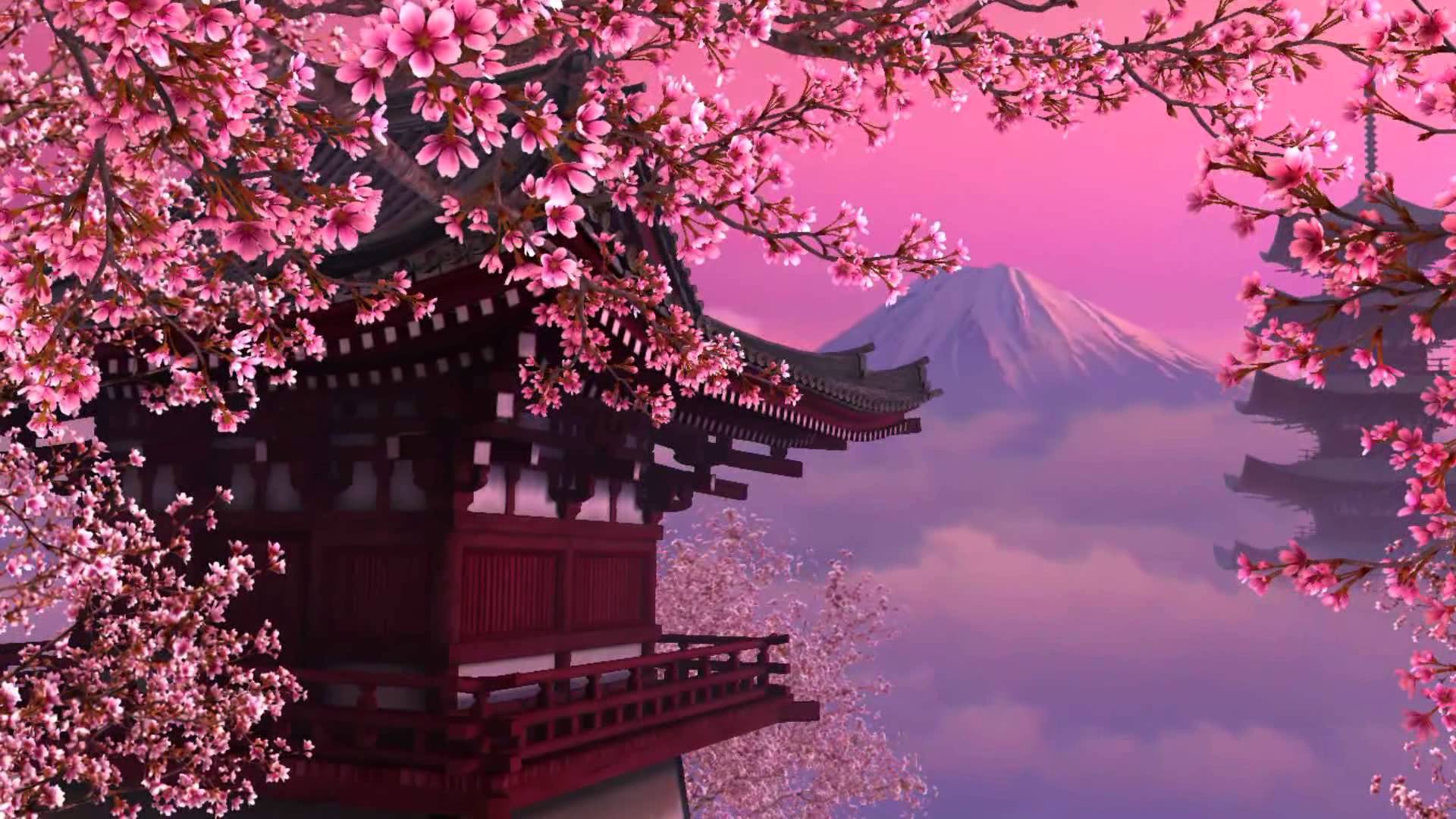 Japanese Cherry Blossom Hd - HD Wallpaper 
