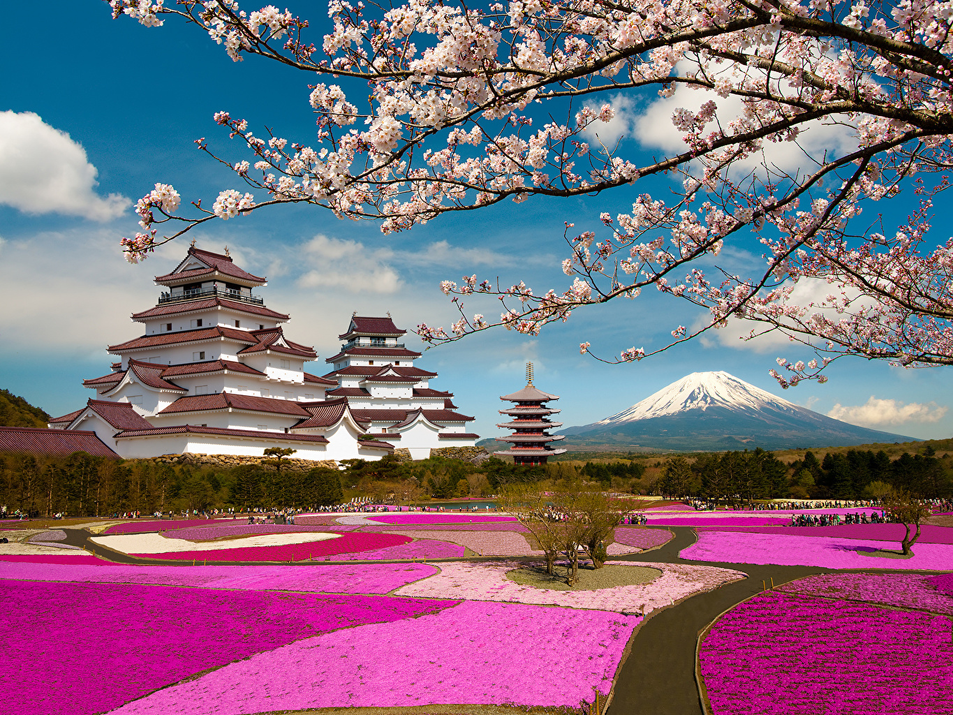 Beautiful Scenery Of Japan - HD Wallpaper 