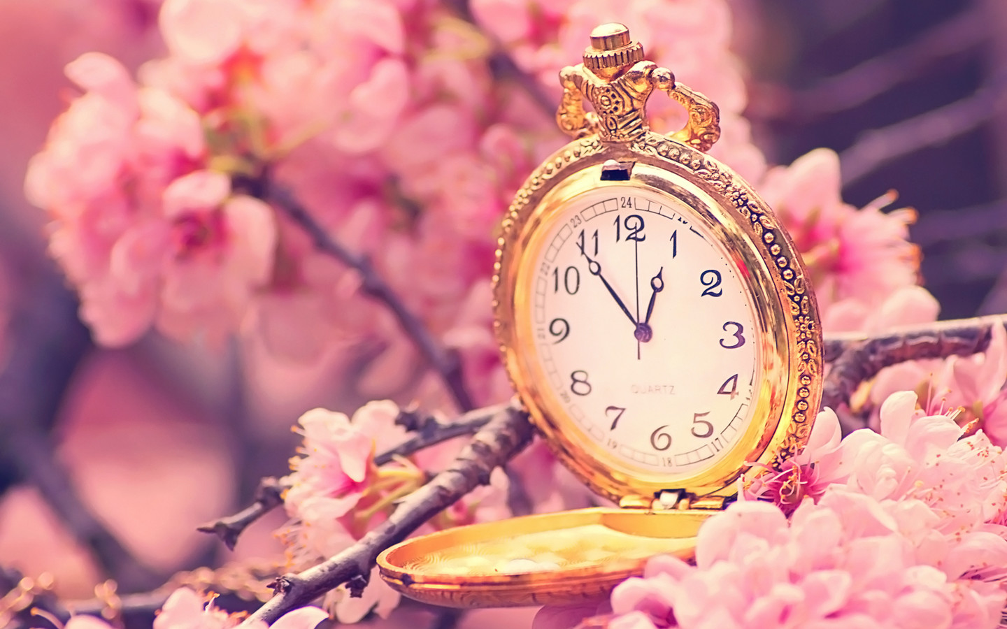 Cherry Blossom Tree Wallpapers Old Clock In A Blossom - Hd Background Wallpapers Cute Nature Cherry Blossoms - HD Wallpaper 