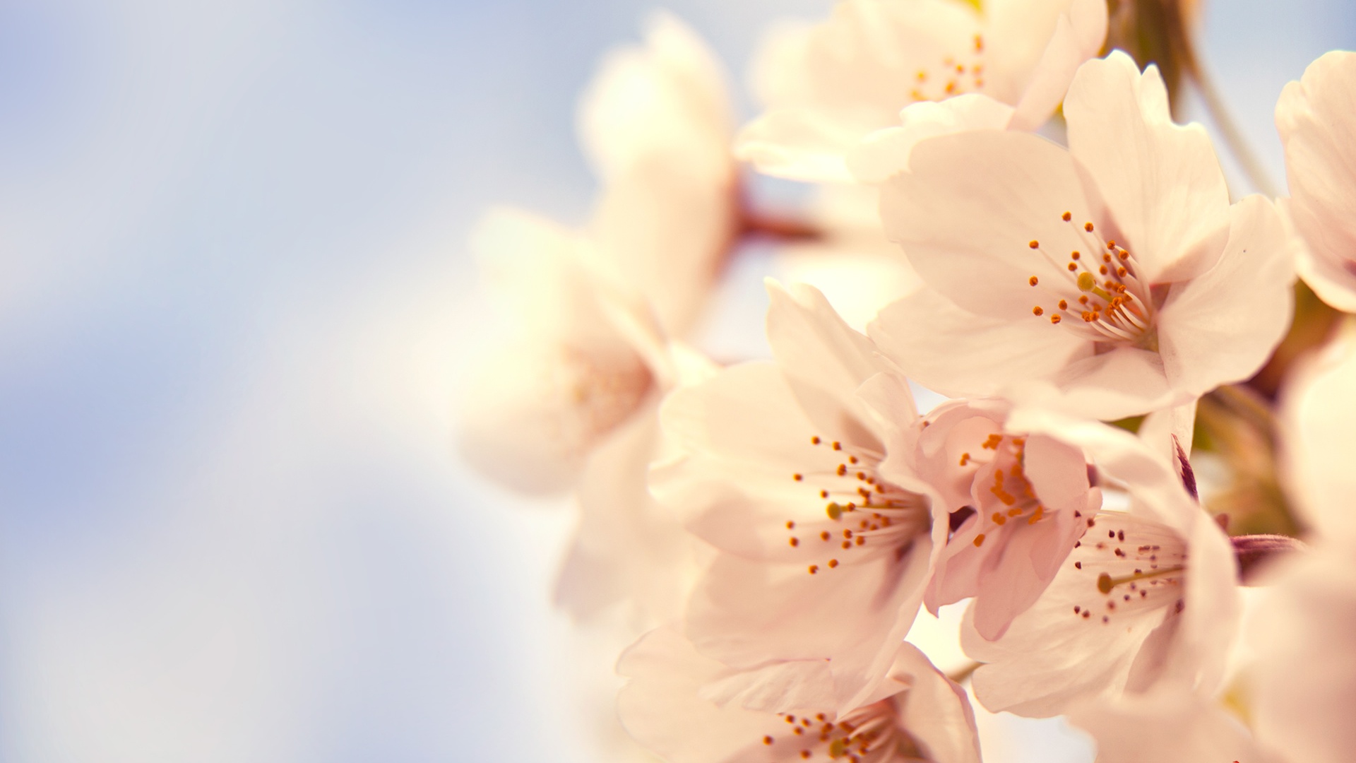 Обои Апрель - HD Wallpaper 