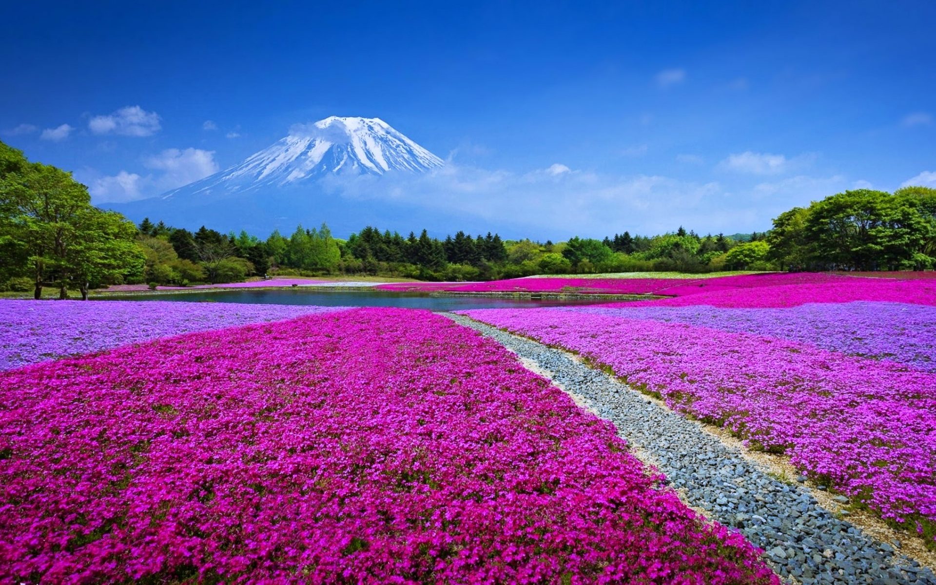 Beautiful 4k Wallpapers For Pc - HD Wallpaper 