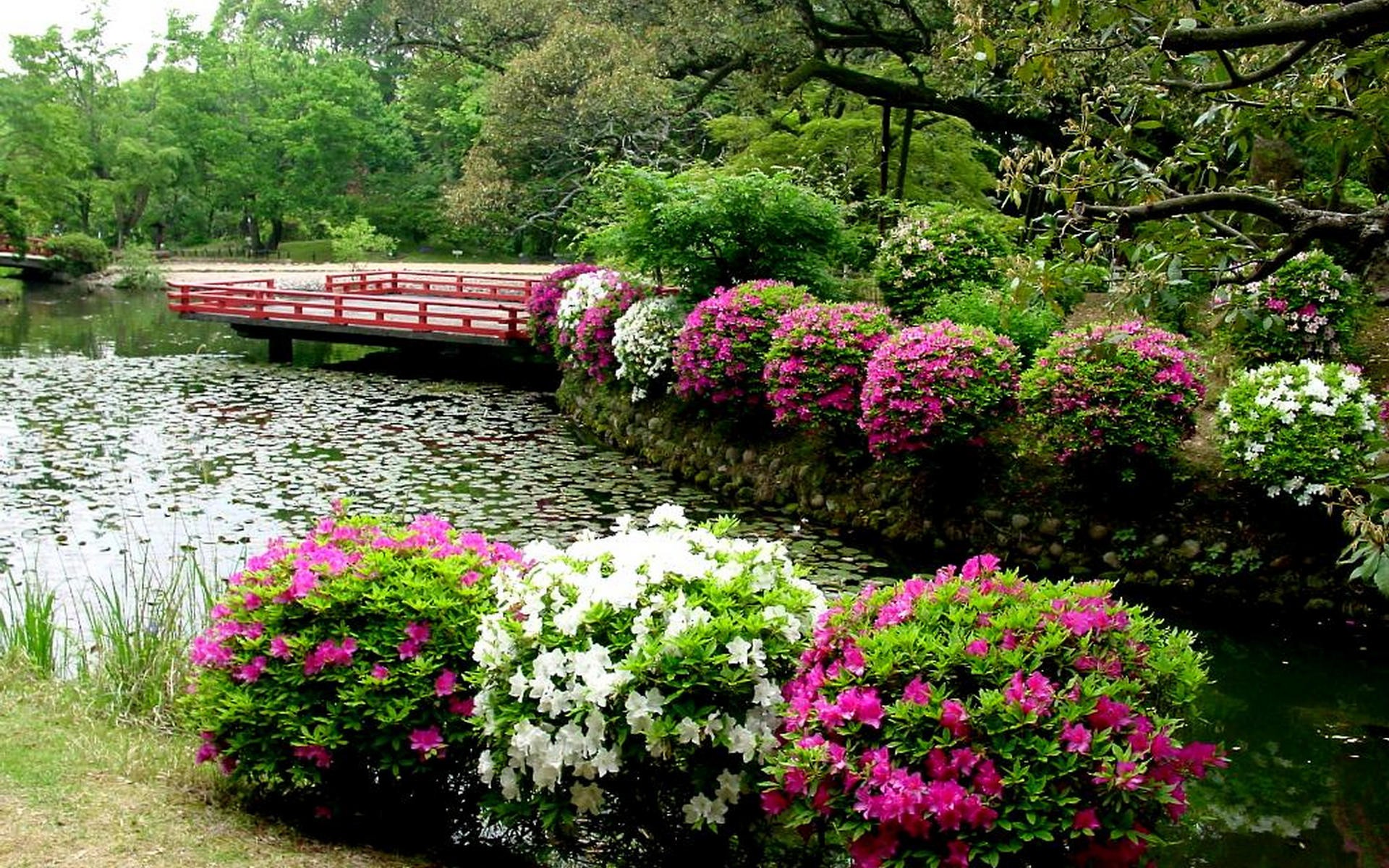 Japanese Garden Wallpaper - Flower Garden Wallpaper Hd Full Screen - HD Wallpaper 