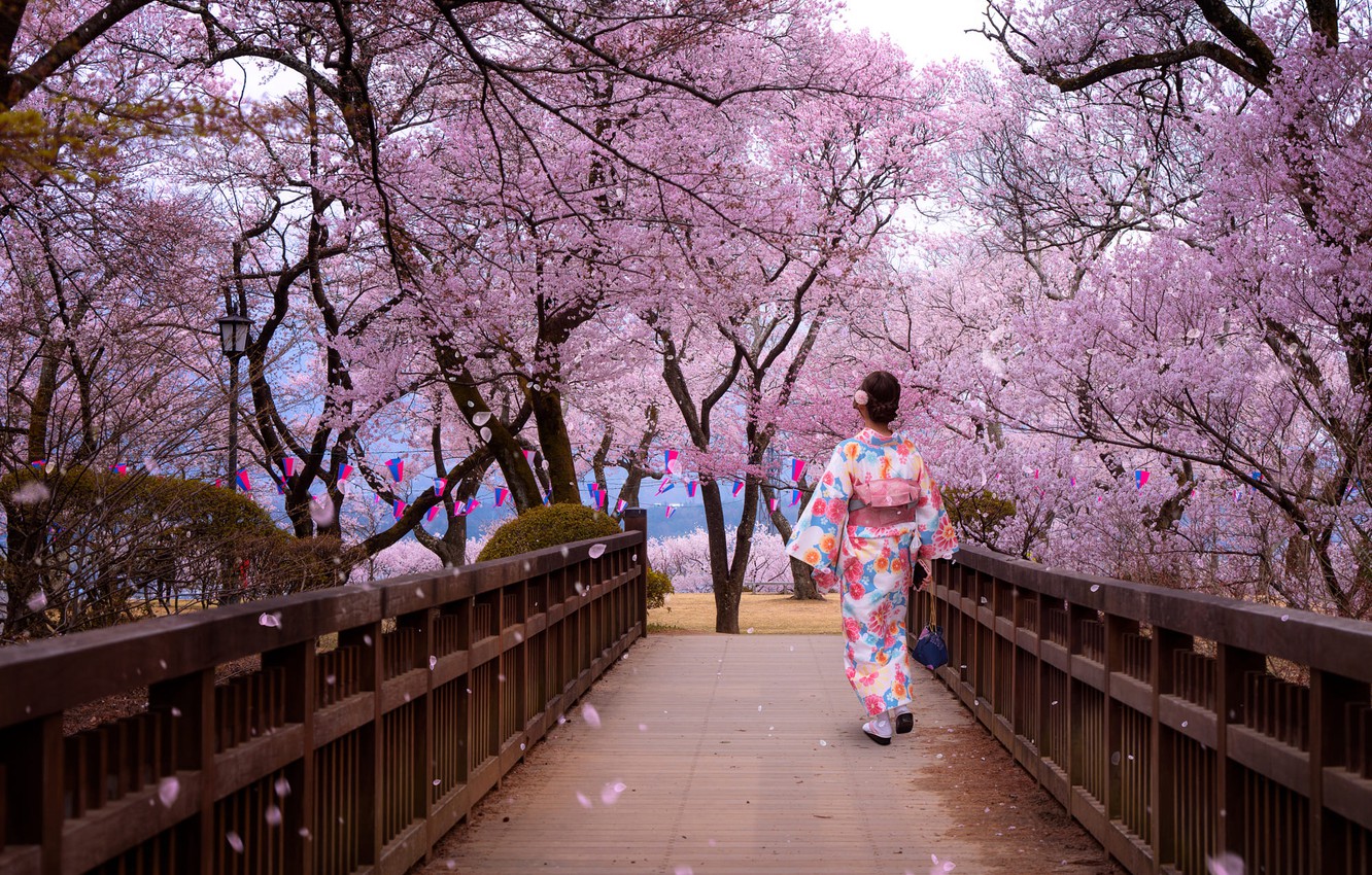 Photo Wallpaper Trees, Park, Woman, Japanese, Spring, - Tokyo Japan Flower Garden - HD Wallpaper 