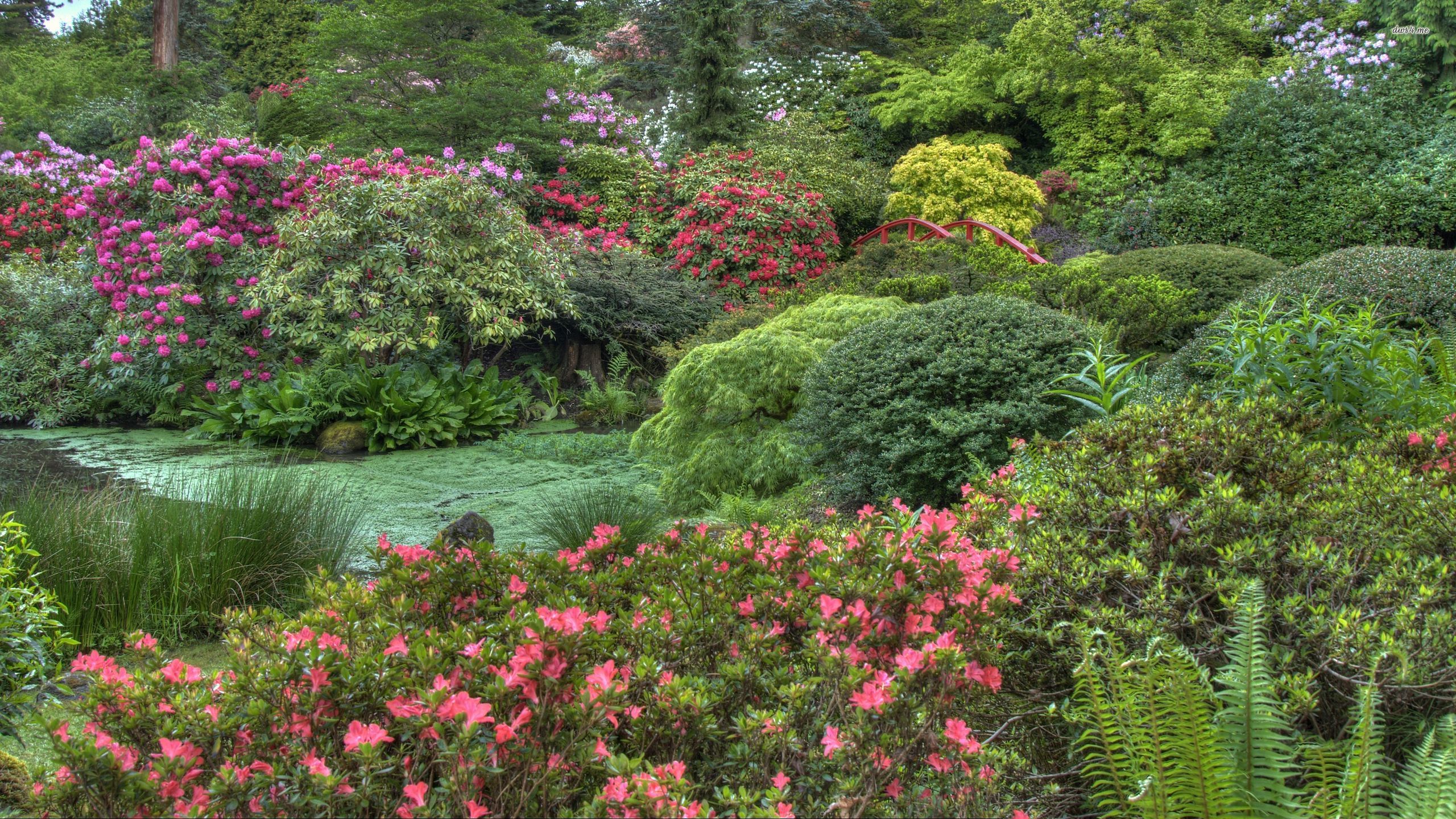 Japanese Garden Wallpaper Hd - HD Wallpaper 