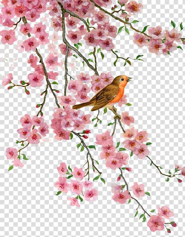 Bird Blossom Flower Desktop , Romantic Cherry Blossoms - Tube Png Japonais - HD Wallpaper 