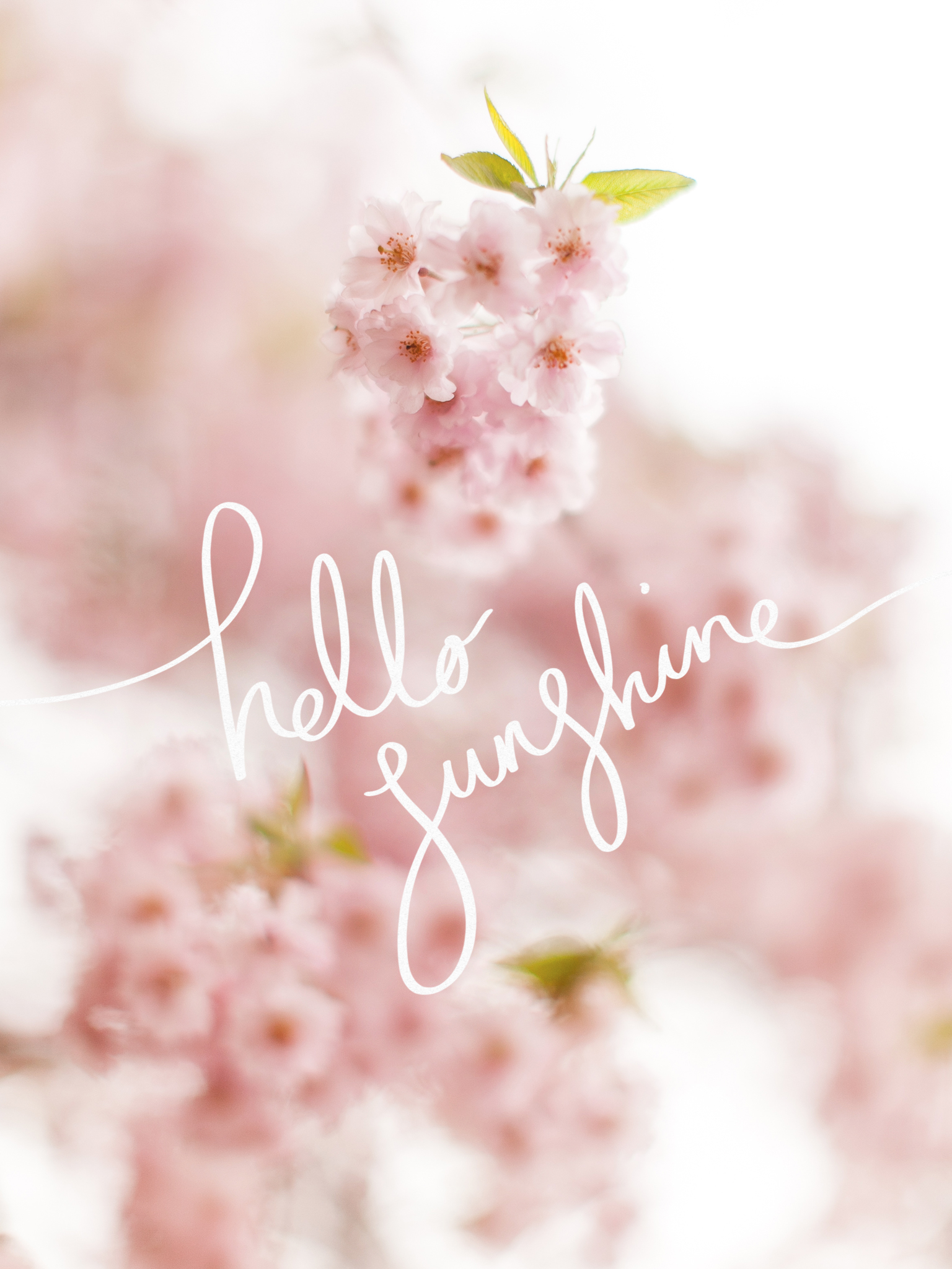 Iphone Wallpaper Hello Beautiful - HD Wallpaper 