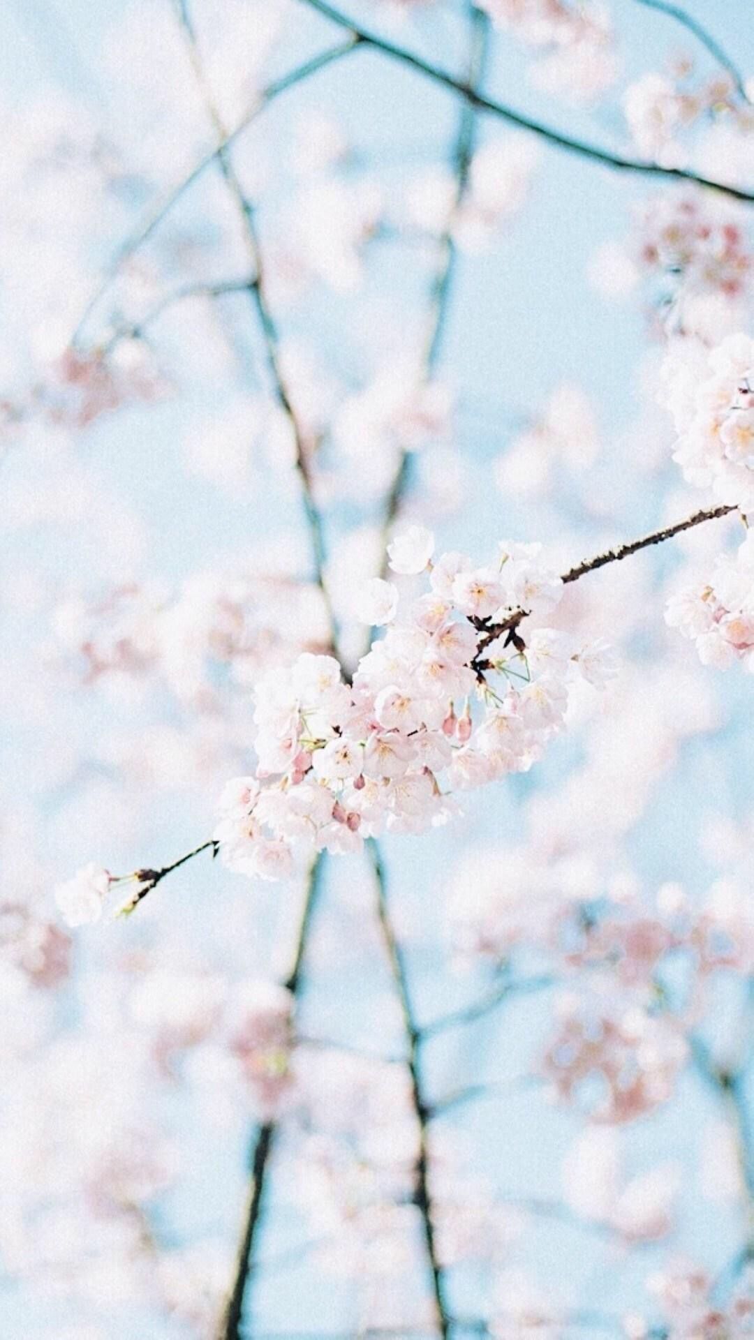 Capas Para Destacar En Instagram De Rey - HD Wallpaper 