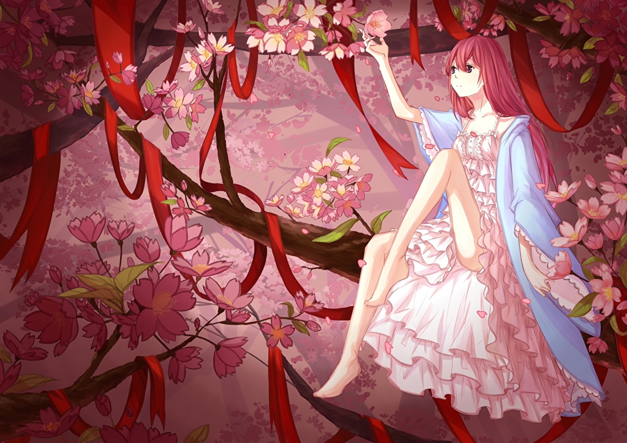 Cherry Blossom - HD Wallpaper 