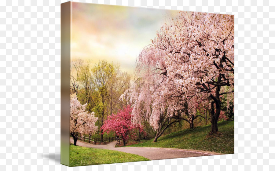 Cherry Grove Flowers - HD Wallpaper 