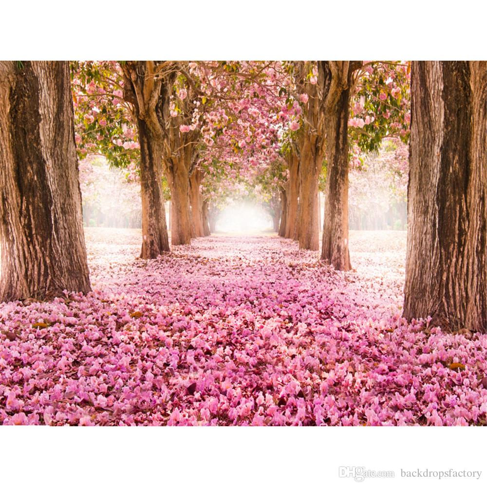 Rosa Blumen Kirschbl Ten Hintergr Nde F R - Cherry Blossom Forest Path - HD Wallpaper 