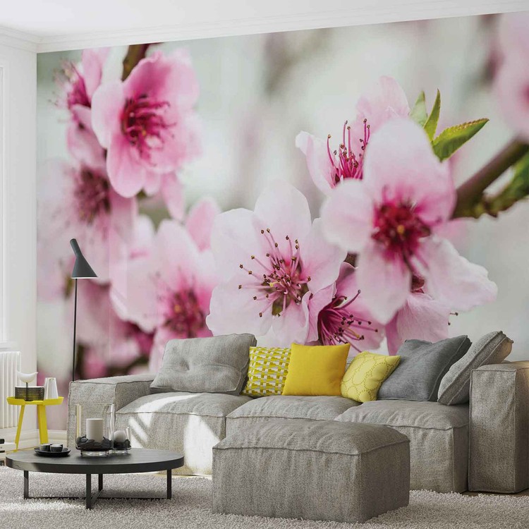Kirschblüte Blumen Natur Fototapete - Concrete Wall Murals Design - HD Wallpaper 