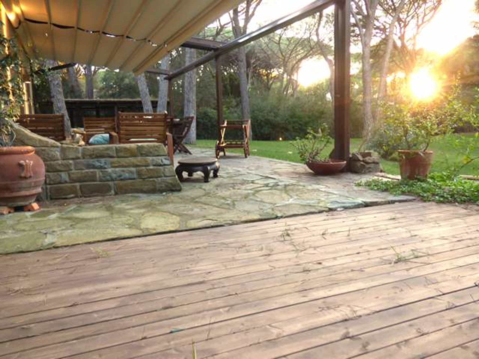 Backyard - HD Wallpaper 