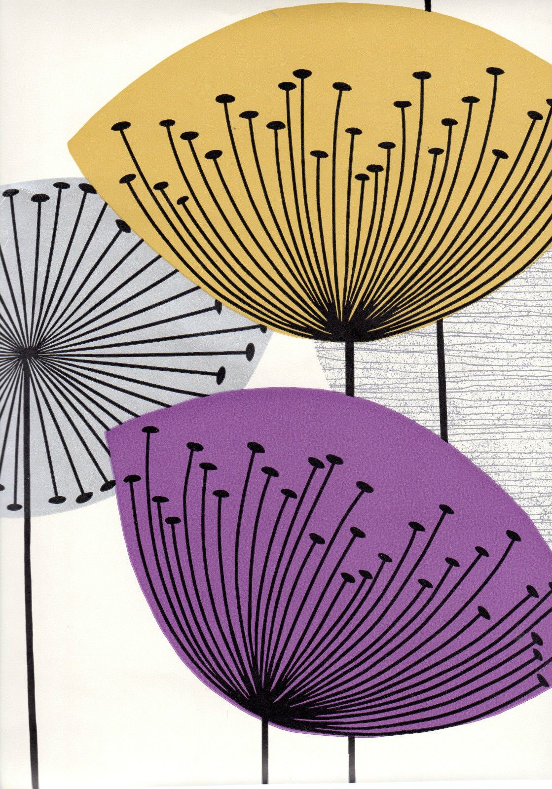 Dandelion Clocks - HD Wallpaper 