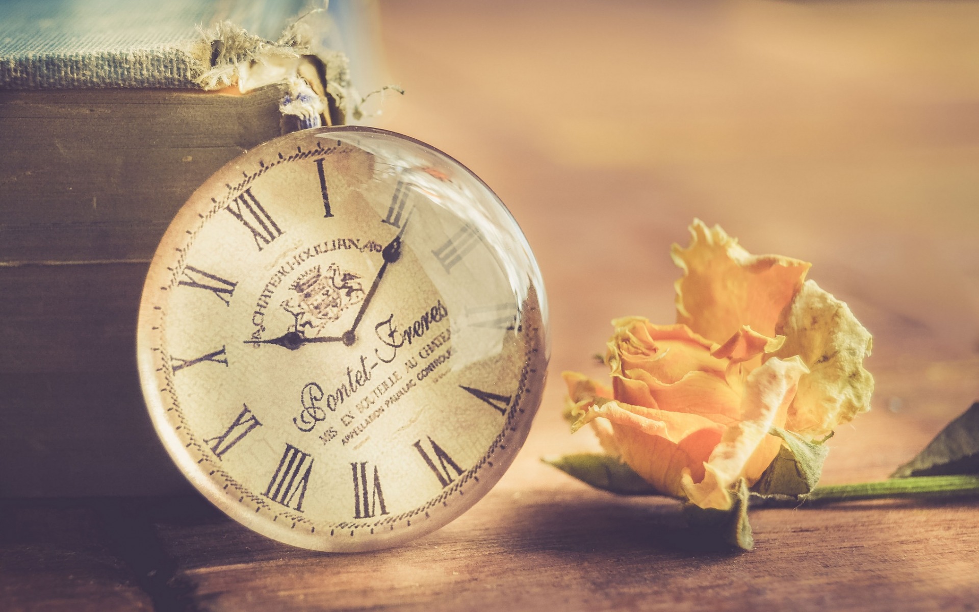 Old Clock, Withered Yellow Rose, Time Concepts, Retro - Beautiful Pictures Of Time - HD Wallpaper 