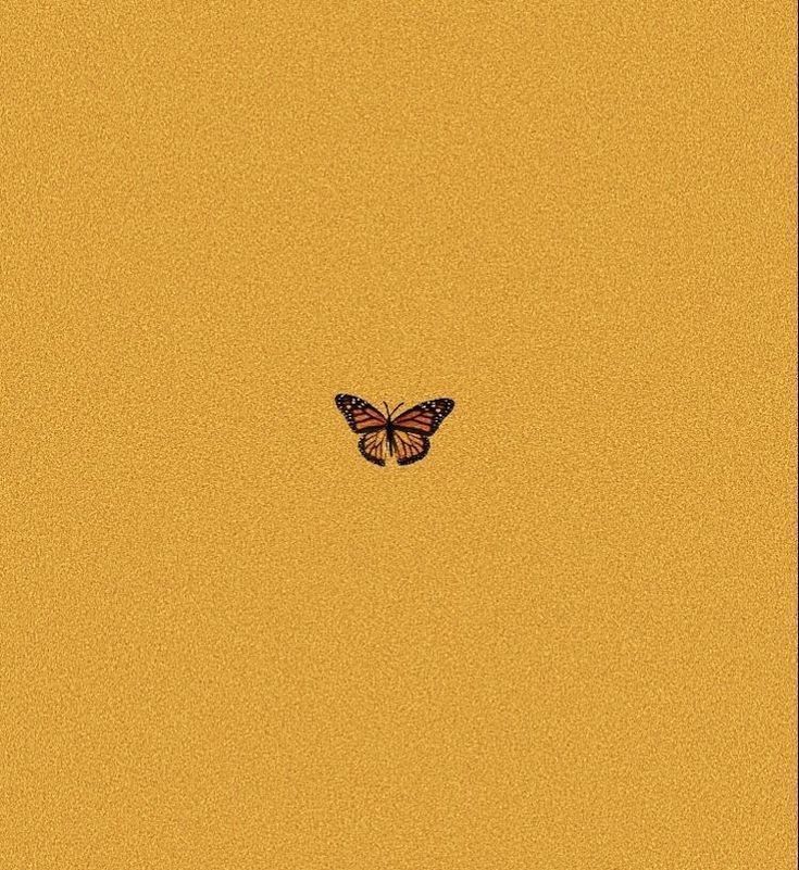 Yellow Butterfly Background Aesthetic 735x801 Wallpaper Teahub Io