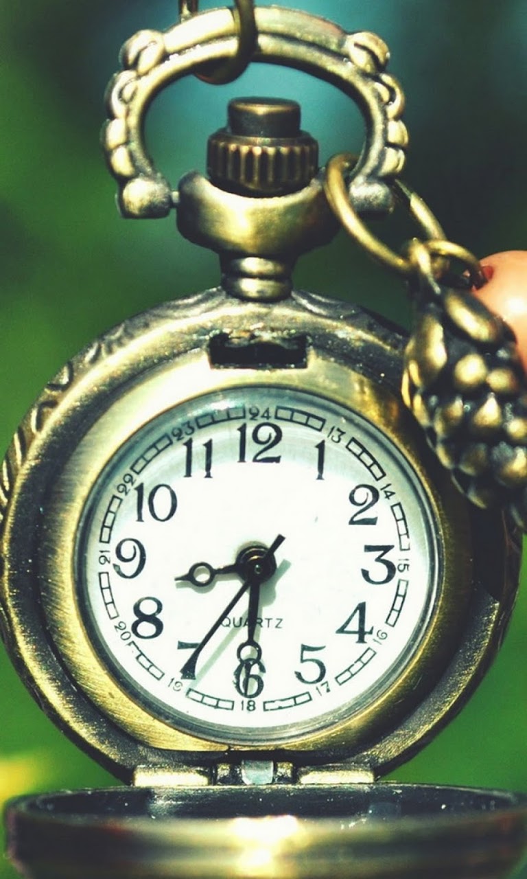 Clocks Flower Macro Pocket Watch Android Best Wallpaper - Watch With Flower Hd - HD Wallpaper 