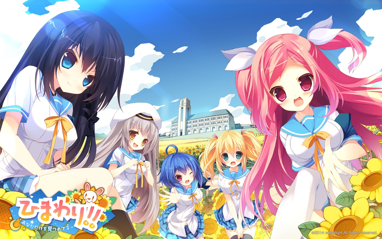 Himawari ~anata Dake Wo Mitsumeteru~ Mikaduki Tenma - Cartoon - HD Wallpaper 