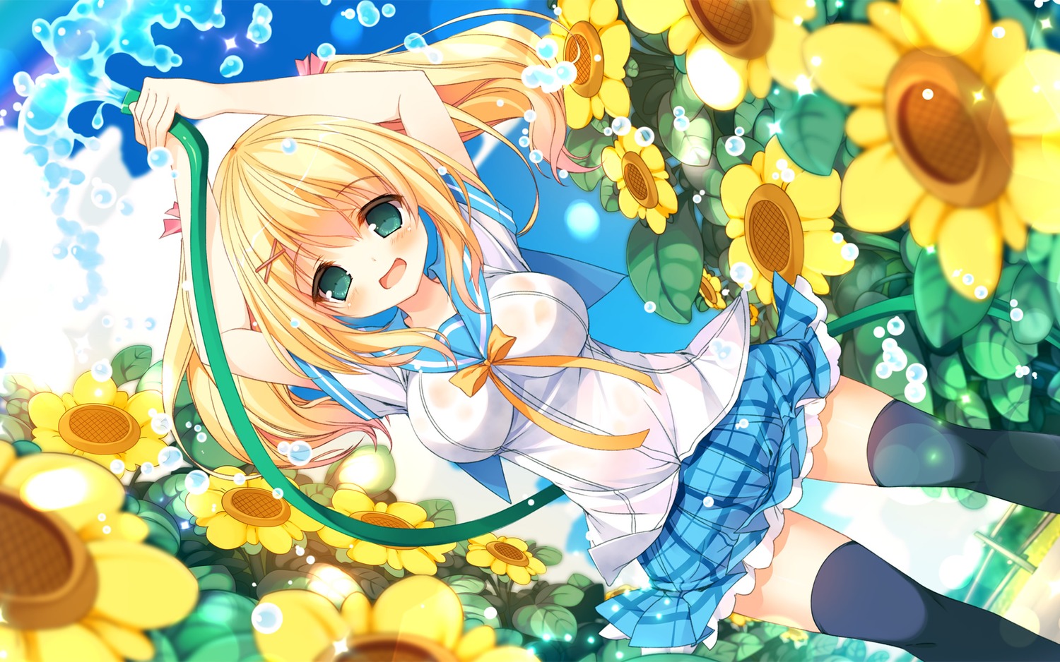 Himawari ~anata Dake Wo Mitsumeteru~ P19 Seifuku Sweet - Cartoon - HD Wallpaper 