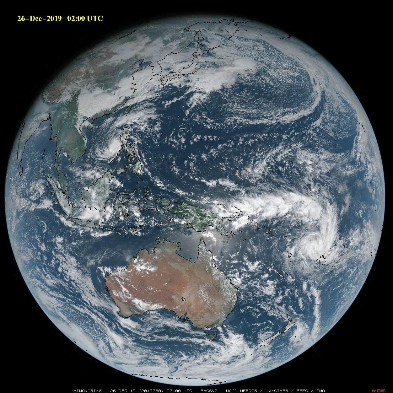 Himawari Wallpaper - HD Wallpaper 