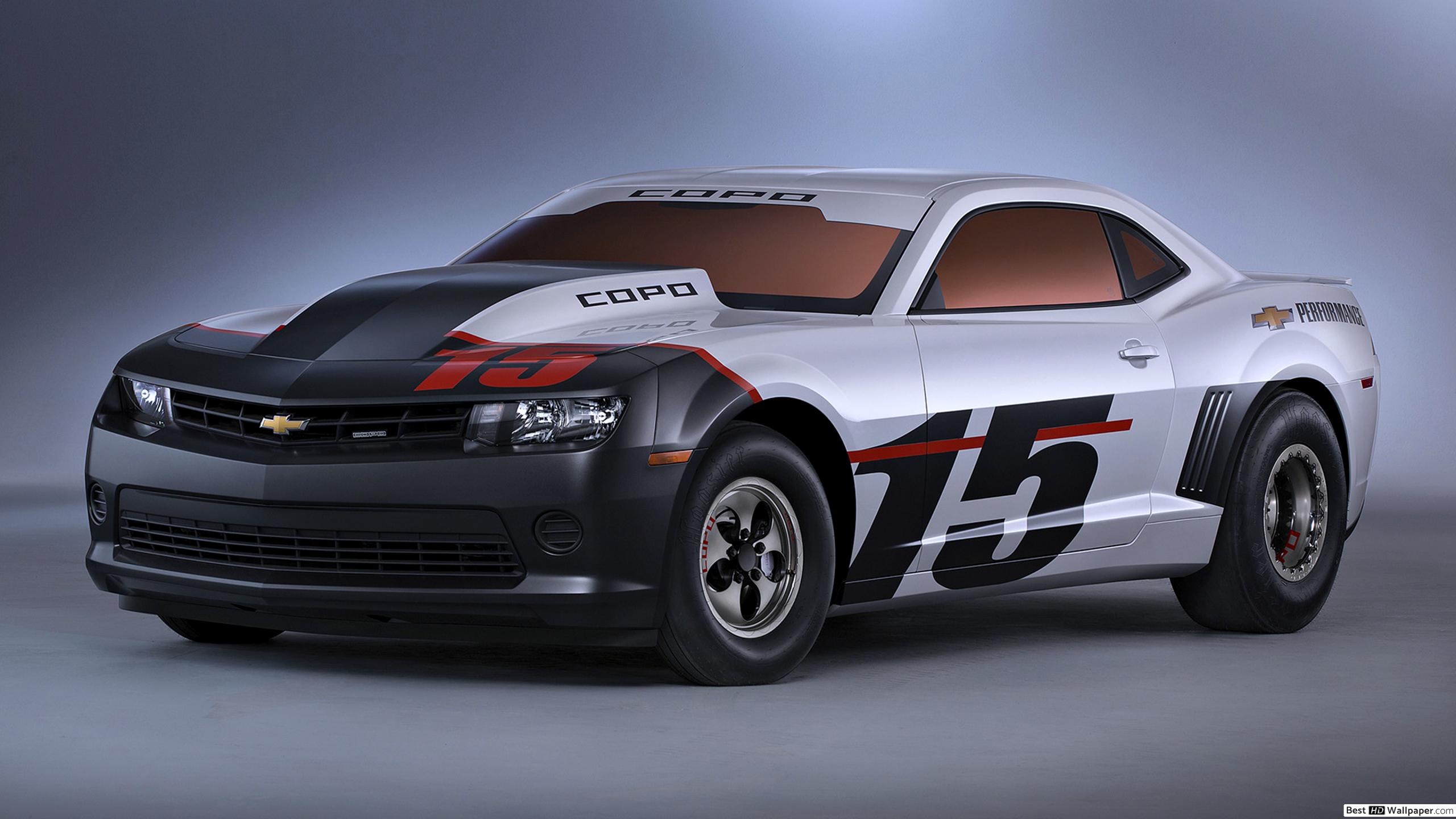 2015 Copo - HD Wallpaper 