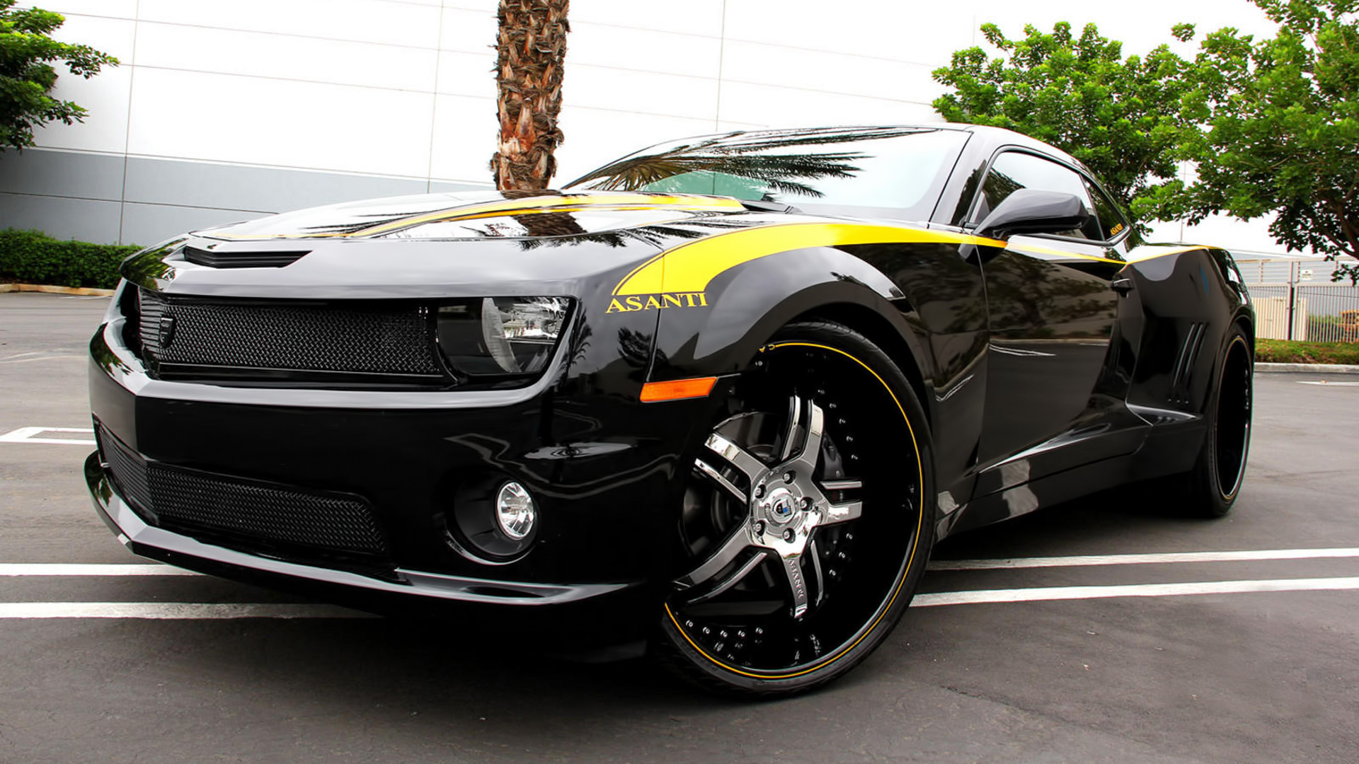 Camaro Asanti - HD Wallpaper 