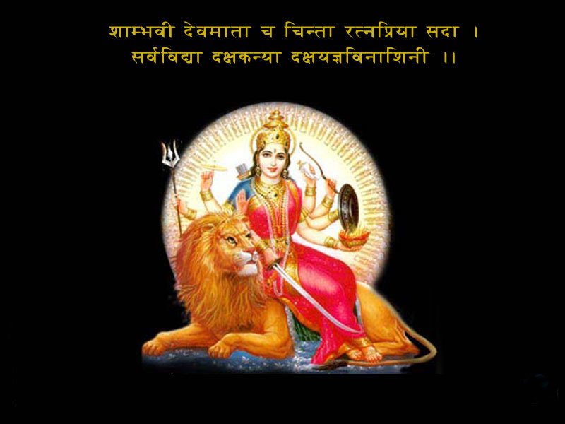 Maa Durga Hd Images With Lion - HD Wallpaper 