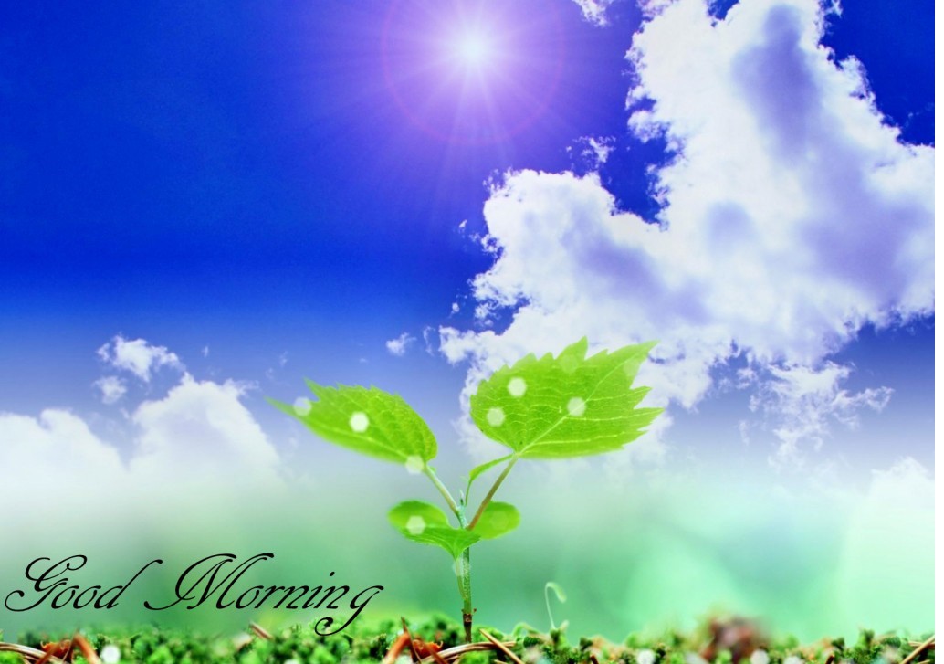 Hd Images Good Morning Download - HD Wallpaper 