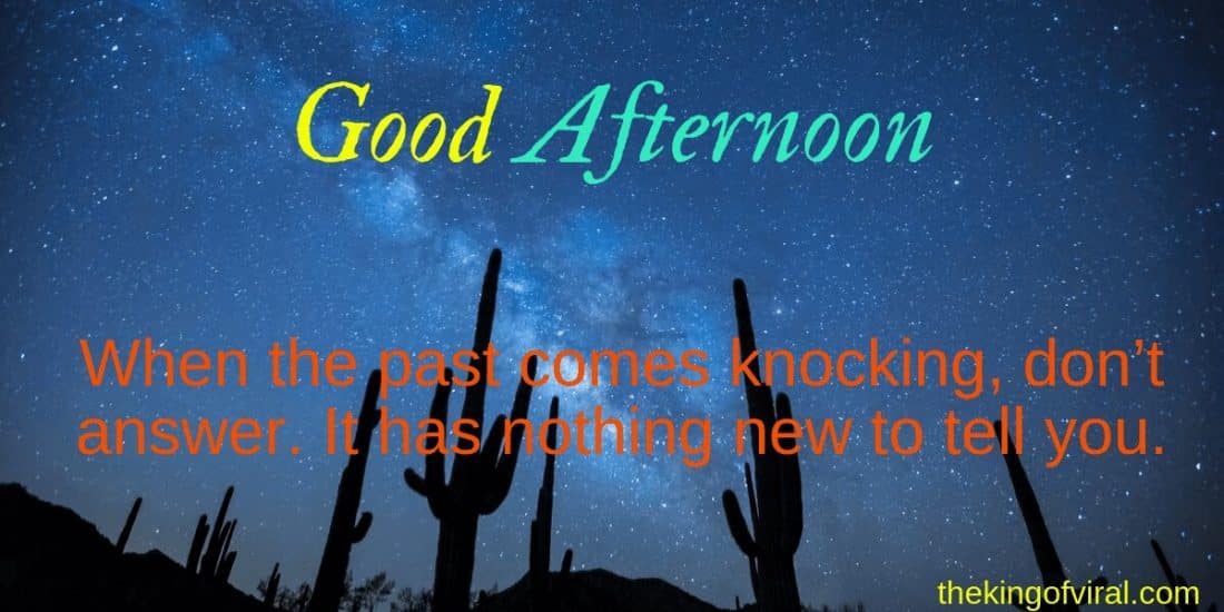 Good Afternoon Beautiful - San Pedro Cactus - HD Wallpaper 