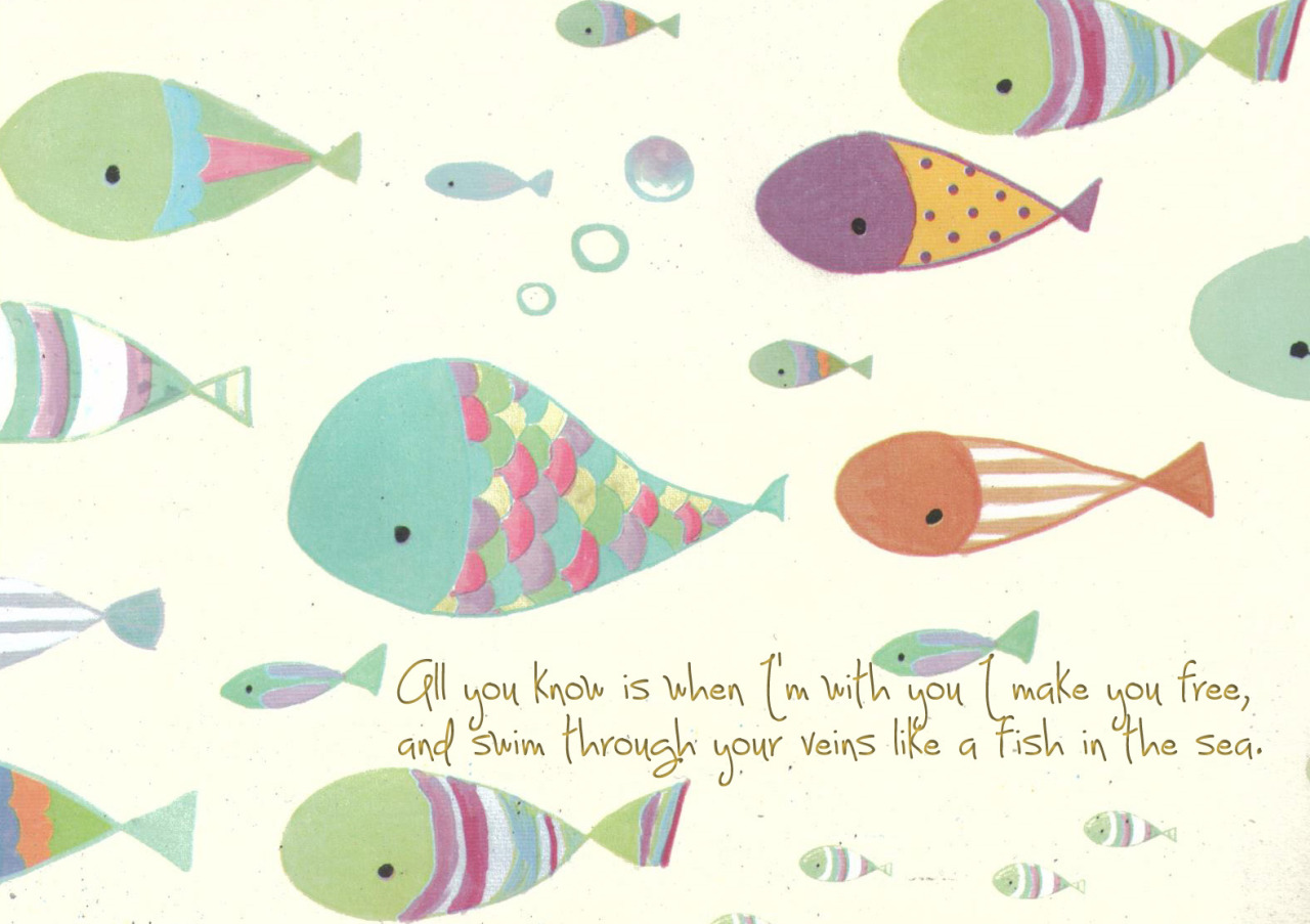 Fish - HD Wallpaper 