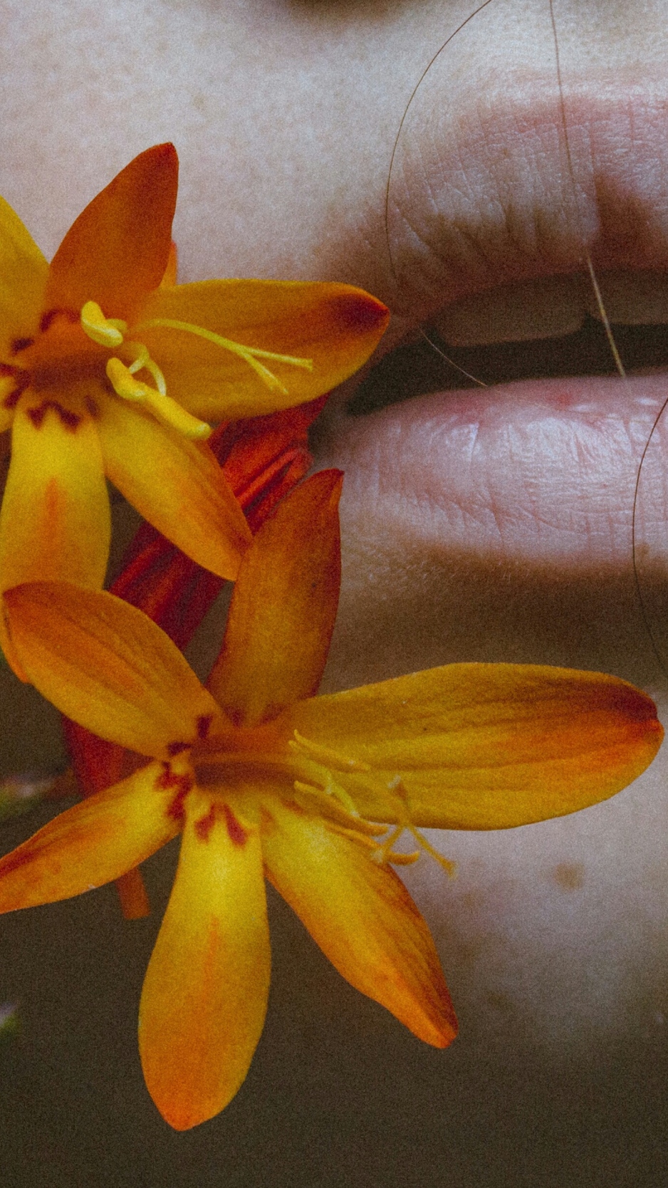 Wallpaper Lips, Flower, Mystery, Tenderness - Flower Lips Iphone - HD Wallpaper 