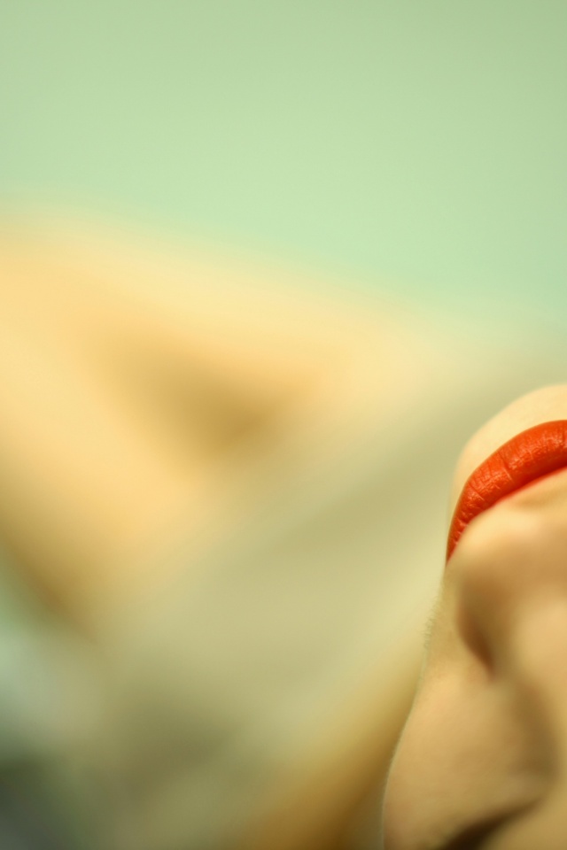 Close-up - HD Wallpaper 