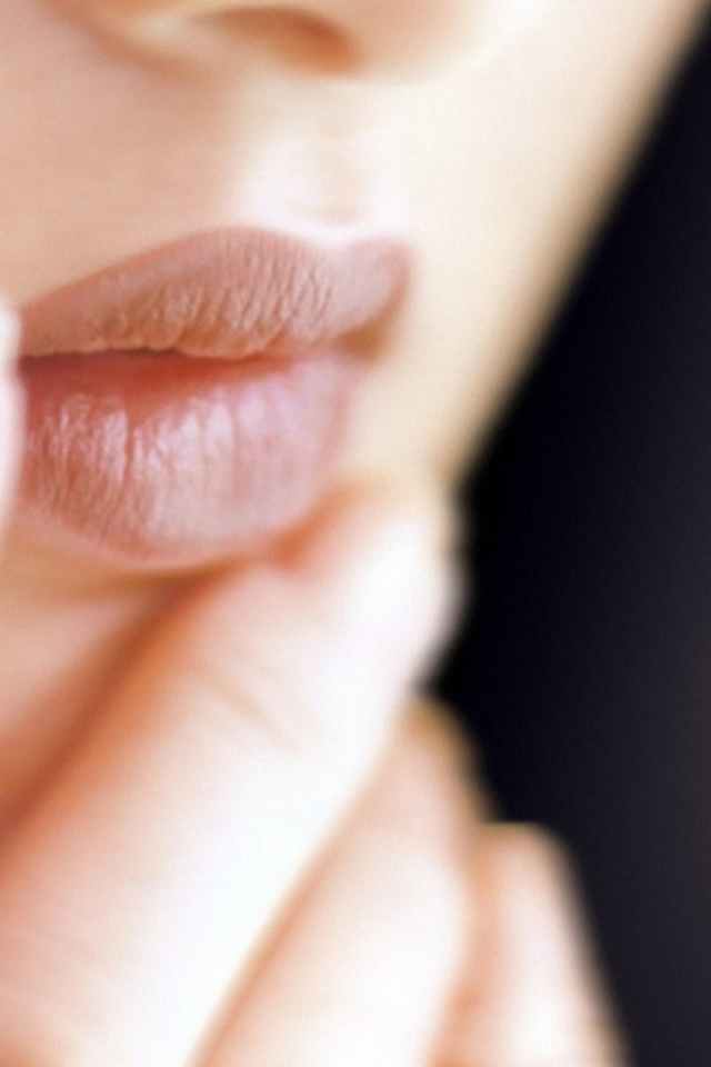 Close-up - HD Wallpaper 