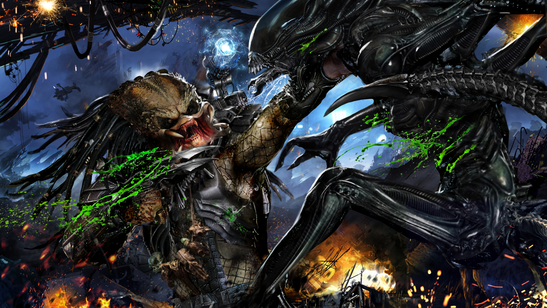 Predator Xenomorph Predator Wallpaper - Aliens Vs Predator - HD Wallpaper 