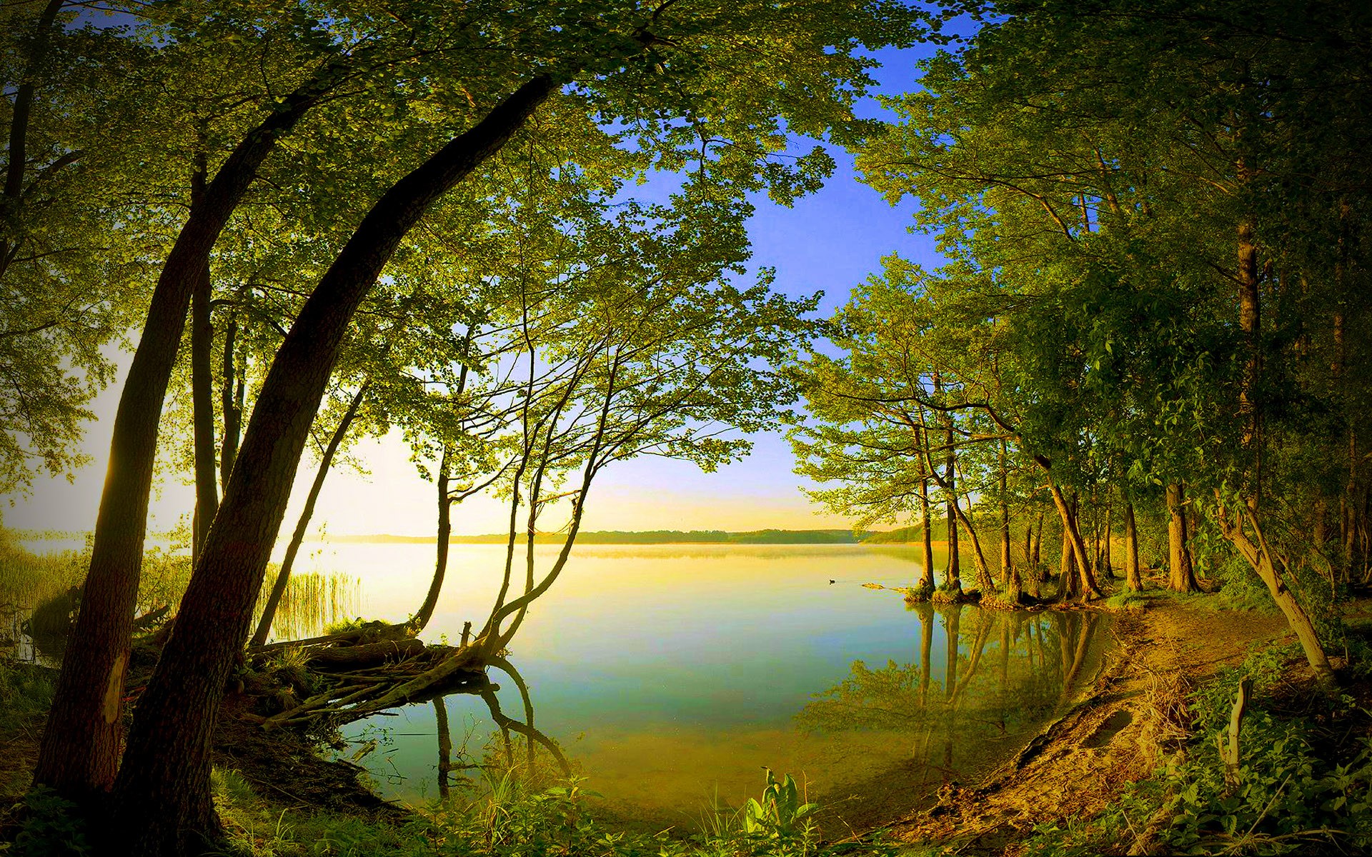 Best Nature Wallpaper For Pc - 1920x1200 Wallpaper Best Nature Wallpaper For Pc - 1920x1200 Wallpaper