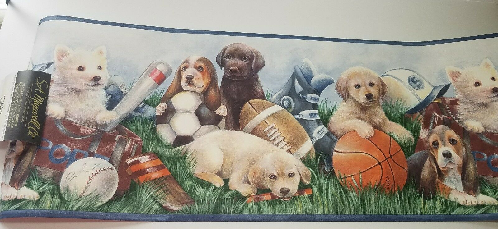 Labrador Retriever - 1600x737 Wallpaper - teahub.io