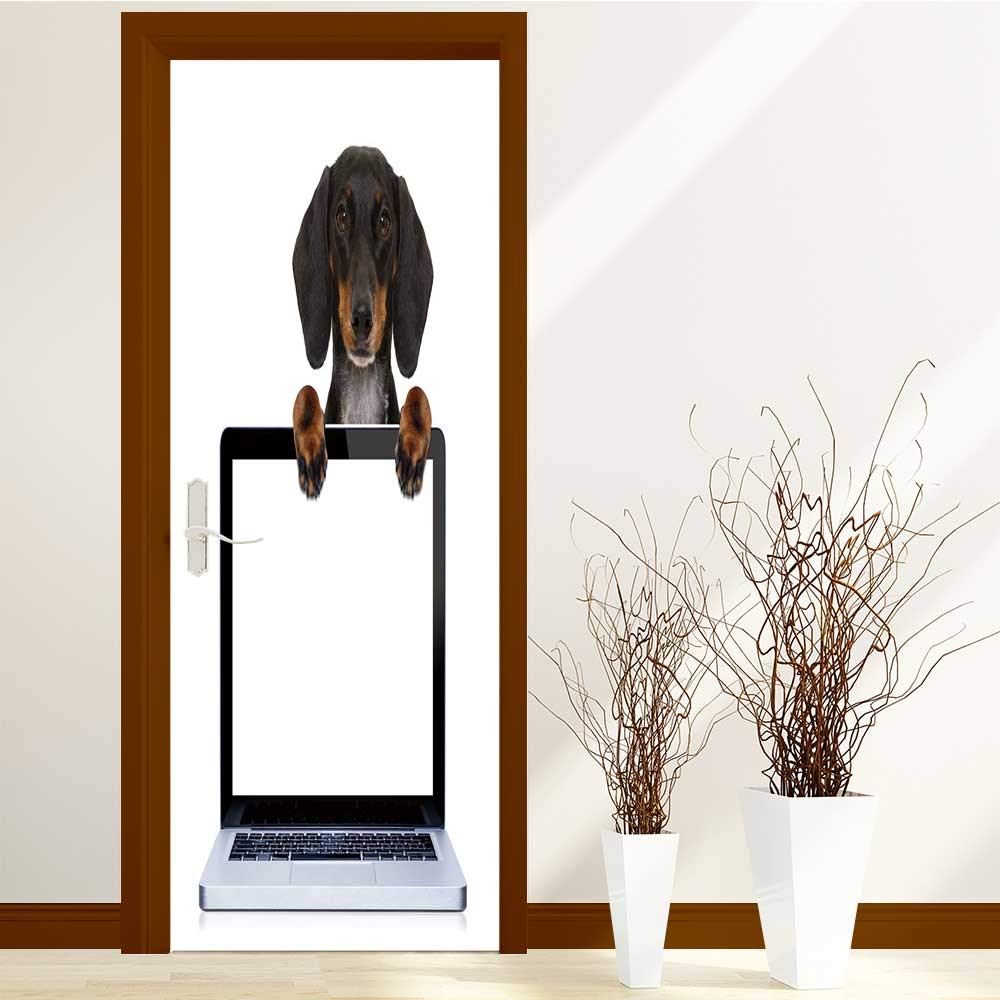 Picture Frame - HD Wallpaper 