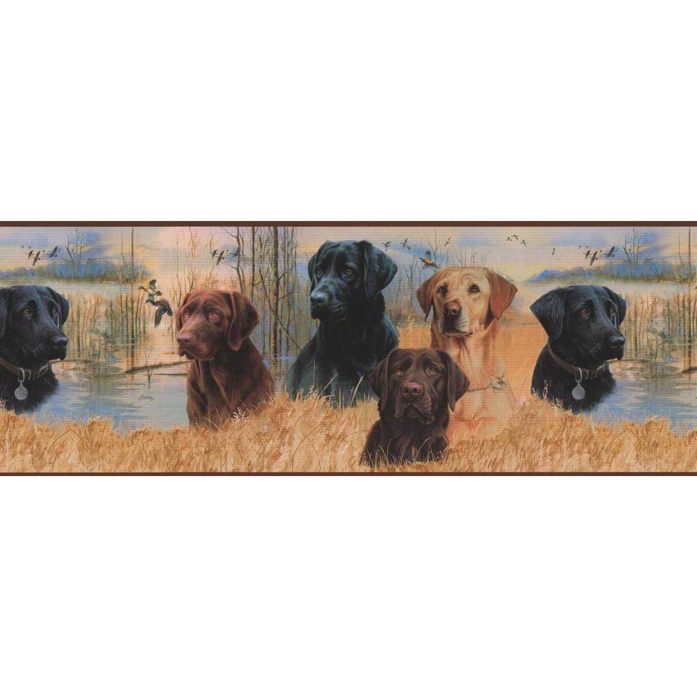 Labrador Hunting - HD Wallpaper 